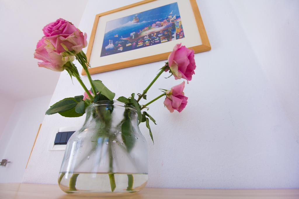 Apartments Petrinic Crnogaj บัชกา ภายนอก รูปภาพ